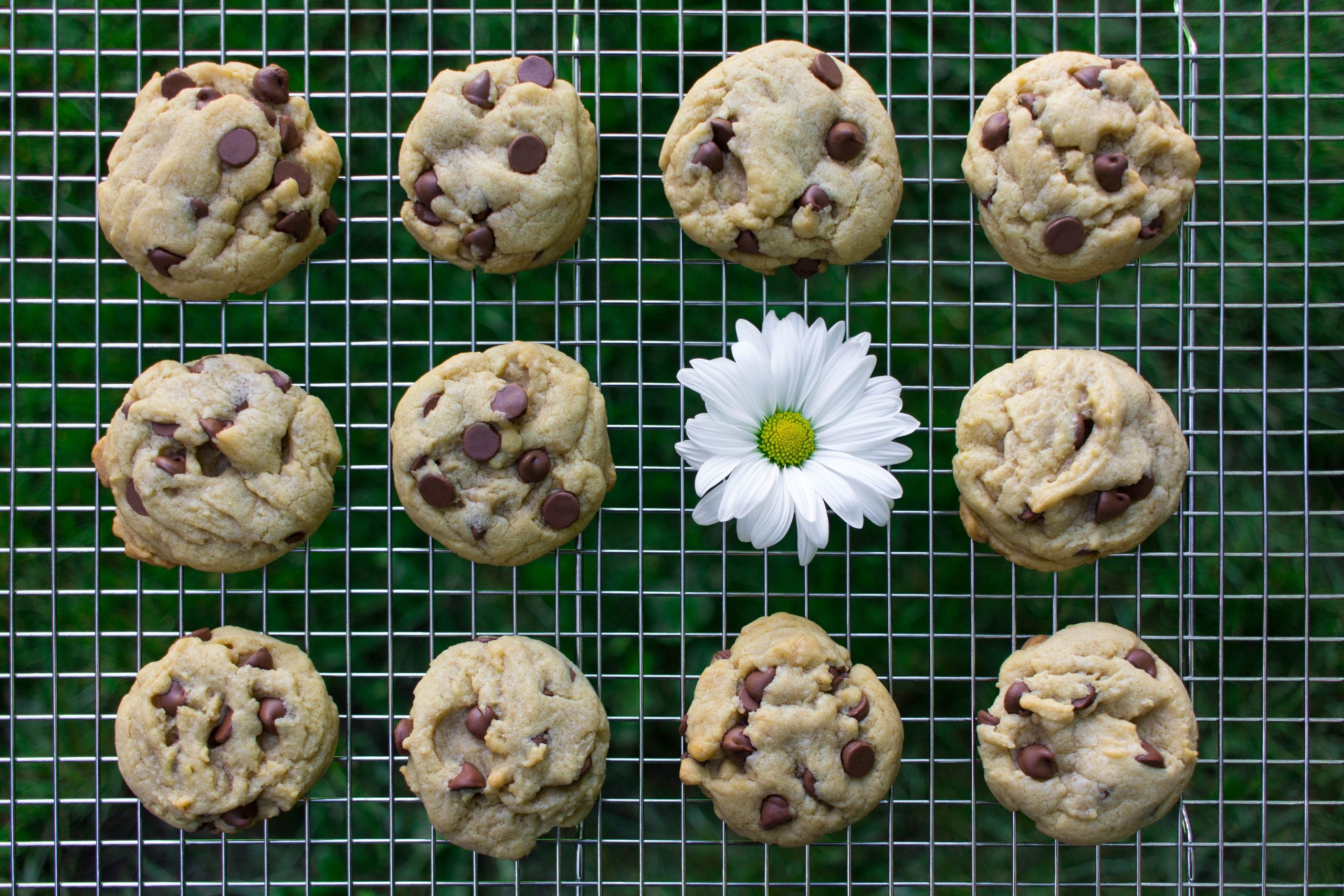 Margarine Chocolate Chip Cookies